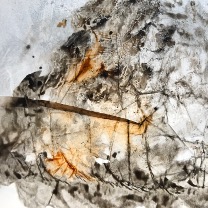 Visuel pour l'oeuvre Abstraction du spectacle bigarré des phénomènes