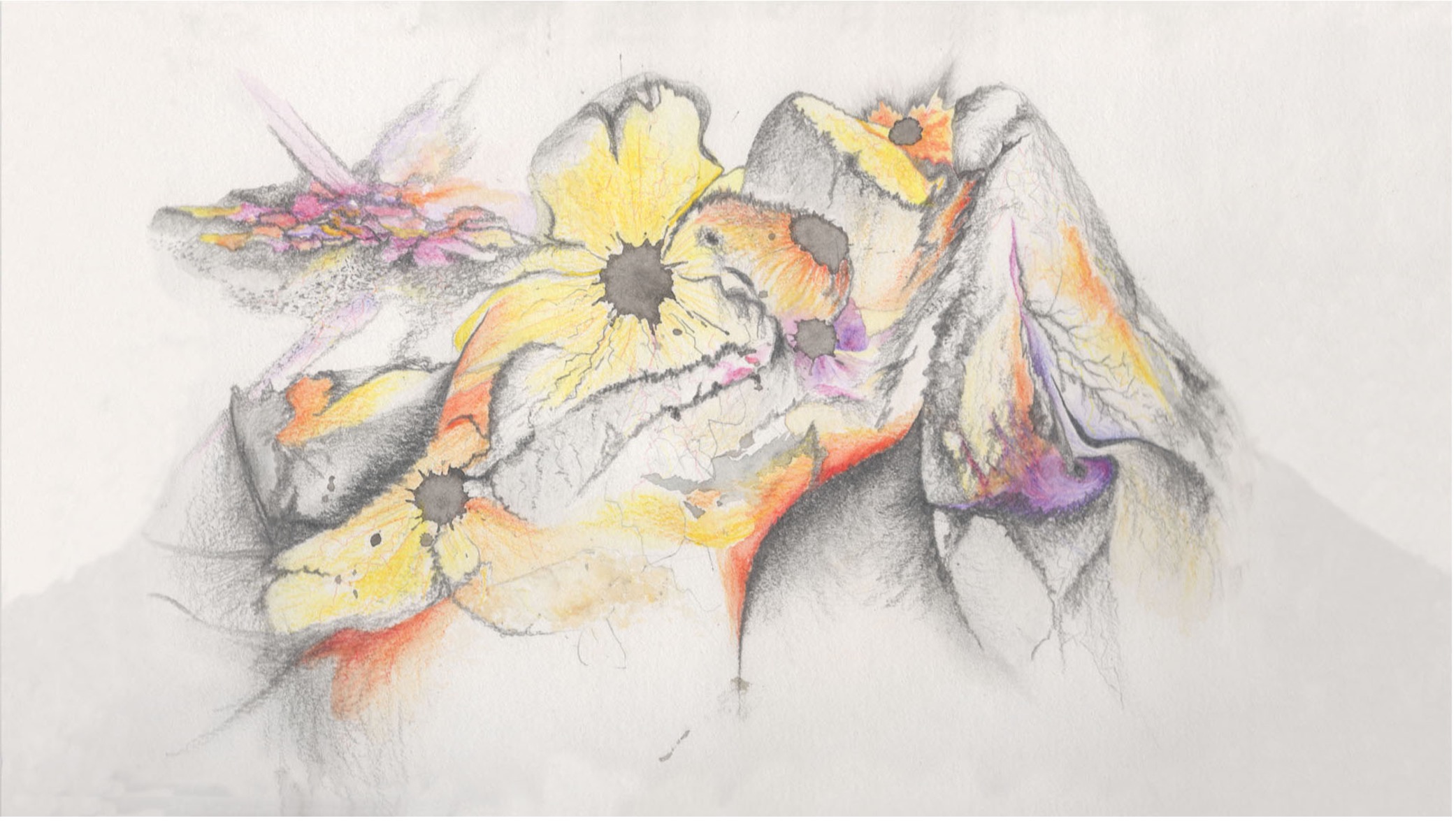 Visuel pour l'oeuvre Tableaux involontaires de la nature somnambule