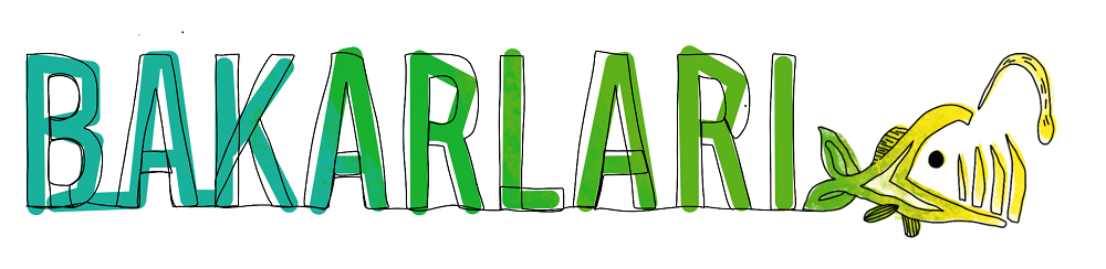logo Bakarlari