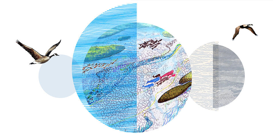 Image avec cercles gris et bleu et dessins d'oiseaux et de poissons