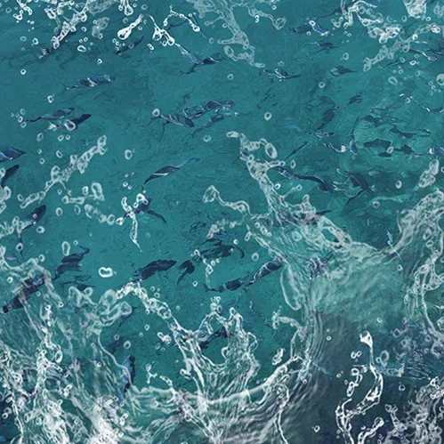 Photo of the surface of the ocean