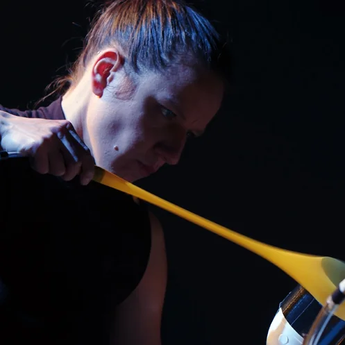 visuel du concert Totem électrique XV - Photo de Jean-François Laporte et Émilie Girard Charest
