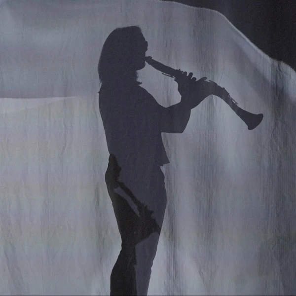 Photo de la clarinetiste Gwénaëlle Ratouit